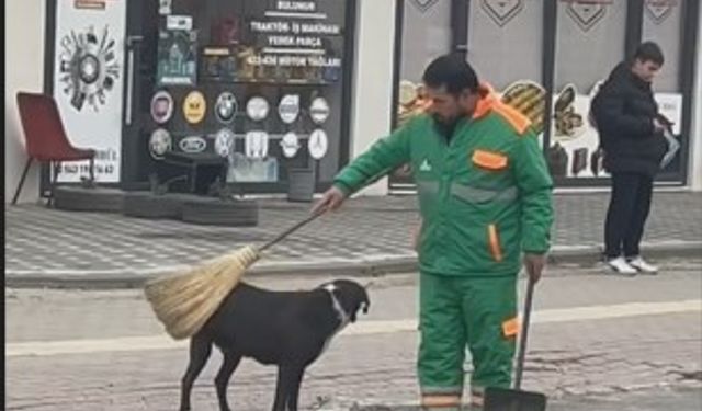 Bursa'da iç ısıtan görüntüler! Sokak köpeğini temizledi, sevdi
