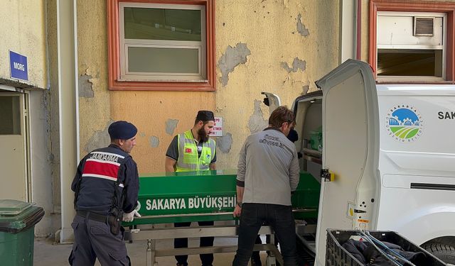 Sakarya Akyazı ilçesinde konteynerde kalan kamyon şoförü ölü bulundu