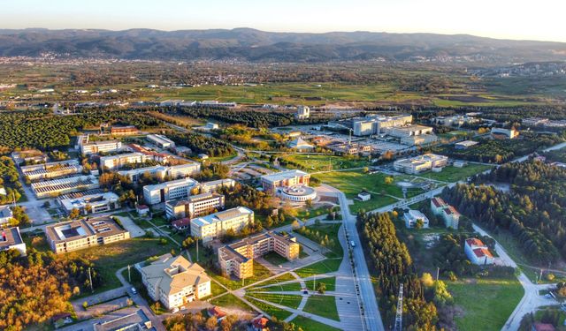 Uludağ Üniversitesi'nin ormanları “terminatör”e emanet