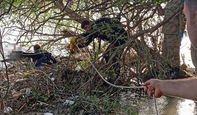 Hatay Defne ilçesinde Asi Nehri'nde erkek cesedi bulundu