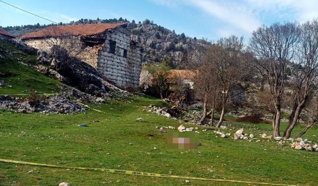Antalya Akseki ilçesinde yaşlı kadın çoban köpeklerinin saldırısı sonucu hayatını kaybetti