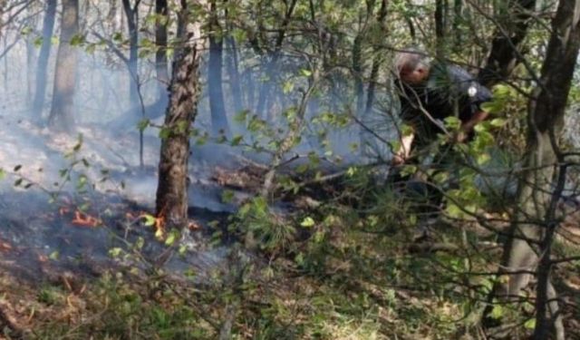 Bursa Uludağ'daki yangını söndürme çalışmaları paylaşıldı