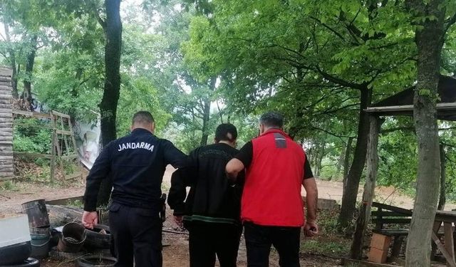 Yalova Termal ilçesinde 2 hektar ormanın yanmasına neden olan zanlı gözaltına alındı