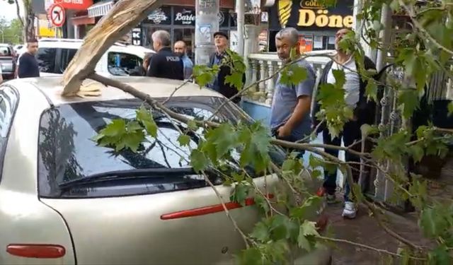 Bursa’da şiddetli rüzgara dayanamayan ağaç otomobilin üzerine düştü