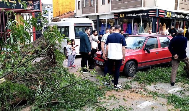 Bursa İnegöl ilçesinde seyir halindeki otomobilin üzerine ağaç devrildi