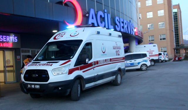 Erzincan Tercan ilçesinde bir kişi ayı saldırısına uğradı