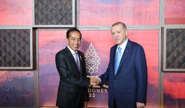 Cumhurbaşkanı Erdoğan, Endonezya Cumhurbaşkanı Joko Widodo ile görüştü