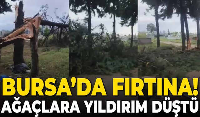 Bursa’da ağaçlara yıldırım düştü, fırtına hayatı olumsuz etkiledi