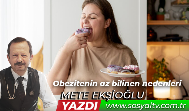 Obezitenin az bilinen nedenleri