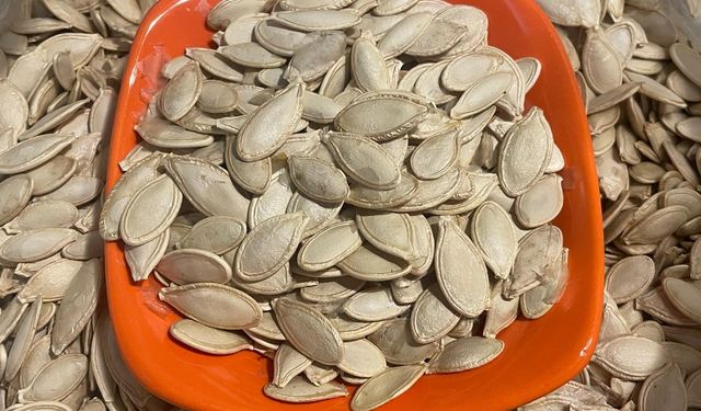 Kabak çekirdeğine "Salmonella", zencefile "Bacillus cereus" nasıl bulaşıyor