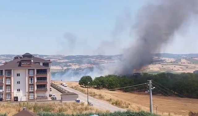Bursa’da anız yangını