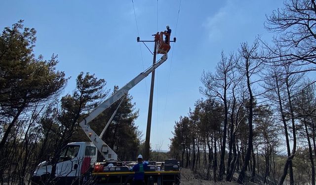 Enerji hatları yangının ardından yeniden onarılıyor