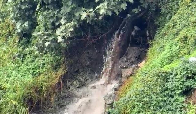 Gemlik Körfezi'nde kirlilik endişe veriyor!