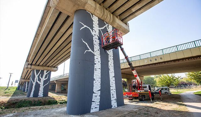 Uludağ’ın endemik bitkileri Bursa duvarlarını süslüyor