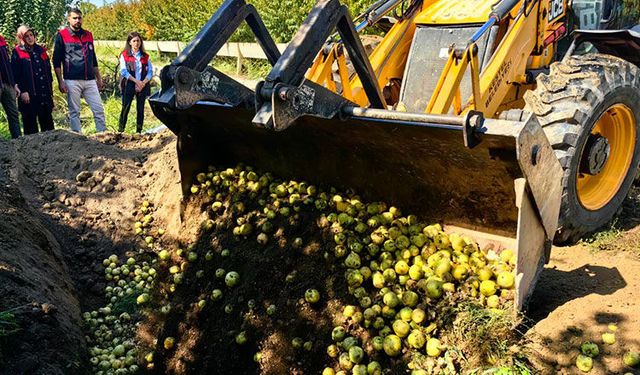 Bursa'da pestisite geçit yok
