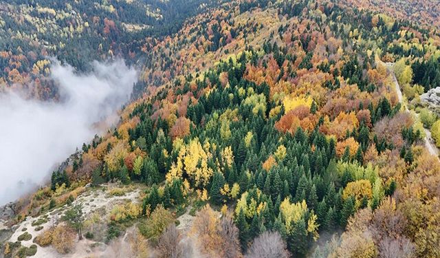 Sisle örtülü Uludağ’da sonbahar güzelliği