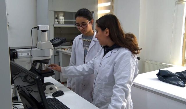 Lise öğrencileri bir ay boyunca üniversiteli oldu