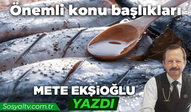 Önemli konu başlıkları