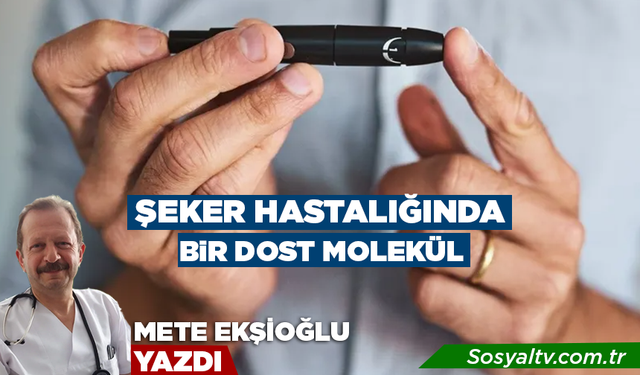 Şeker hastalığında bir dost molekül