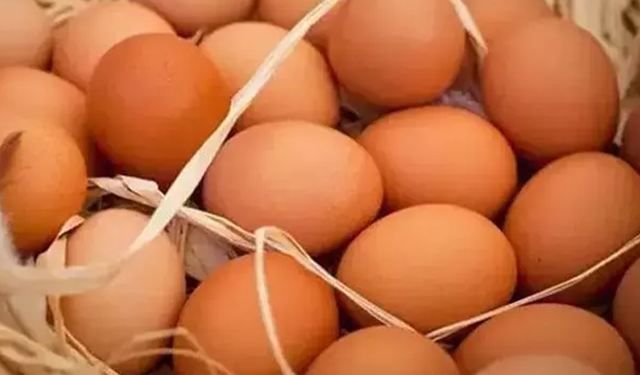 TÜİK: Aylık yumurta, tavuk eti ve içme sütü üretimi azaldı