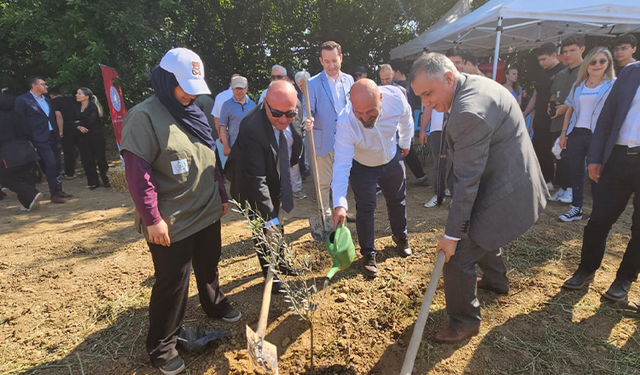 Marmarabirlik’ten mesleki eğitime anlamlı destek: Bin 160 zeytin fidanı toprakla buluştu