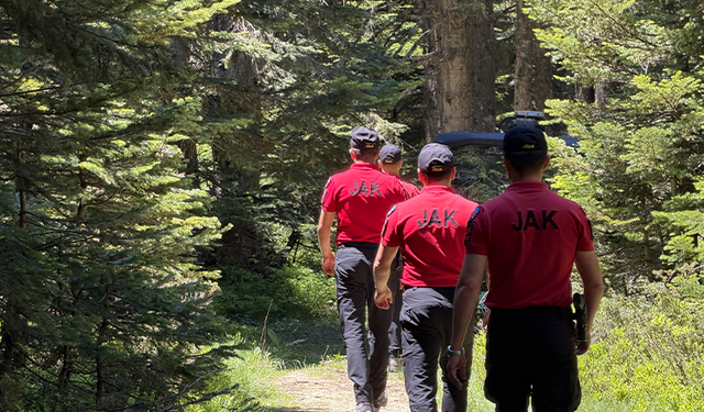 Bursa'da ormanlara girişler yasaklandı