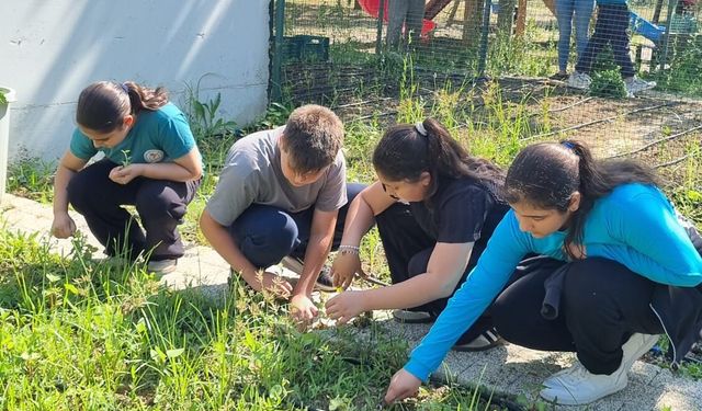 Öğrenciler kendi bitkilerini yetiştirecek