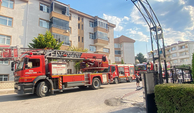 Yangında duygulandıran kurtarma: Anne kedi ve 2 yavrusu hayata döndürüldü