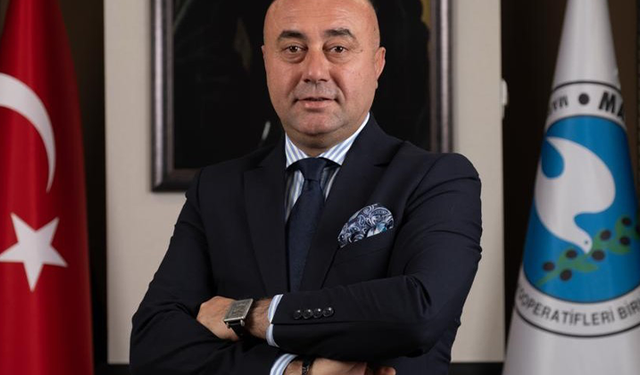Zeytinyağlı çikolata Avrupa yolunda
