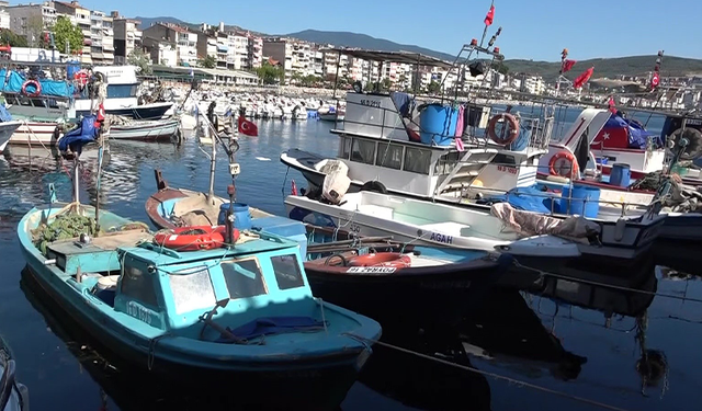 Marmara'nın emektar balıkçıları, müsilaj ve bilinçsiz avlanmadan şikayetçi