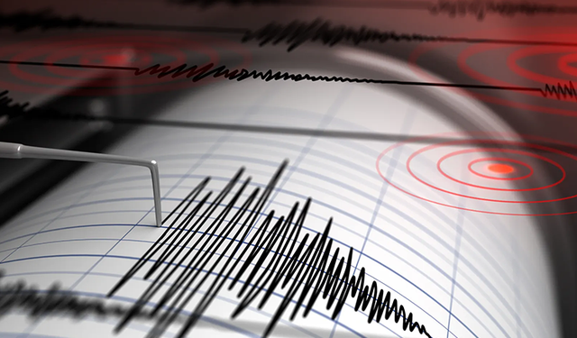 Japonya'da 7.1 büyüklüğünde deprem