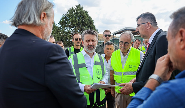 Bursa Büyükşehir'den sokak hayvanlarına yeni yuva