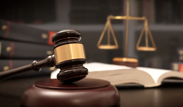 Yargıtay'dan emsal karar: Dedesine bakmayınca arsayı da kaybetti