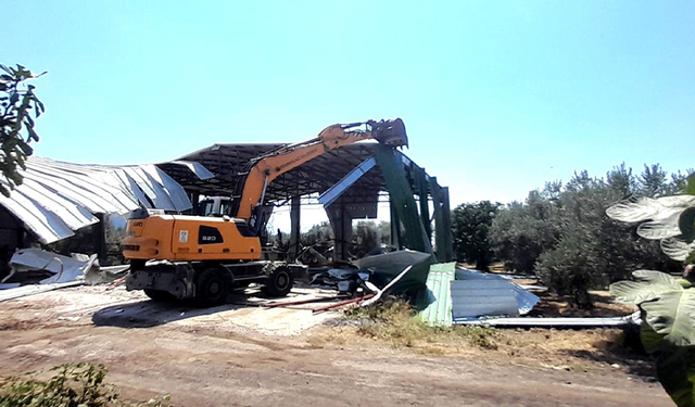 Bursa'da zeytinliğe yapılan kaçak depo böyle yıkıldı