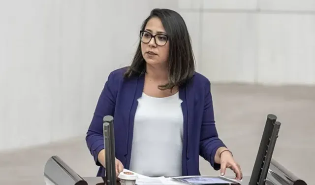 Ankara Cumhuriyet Başsavcılığı'ndan Saliha Sera Kadıgil hakkında re'sen soruşturma