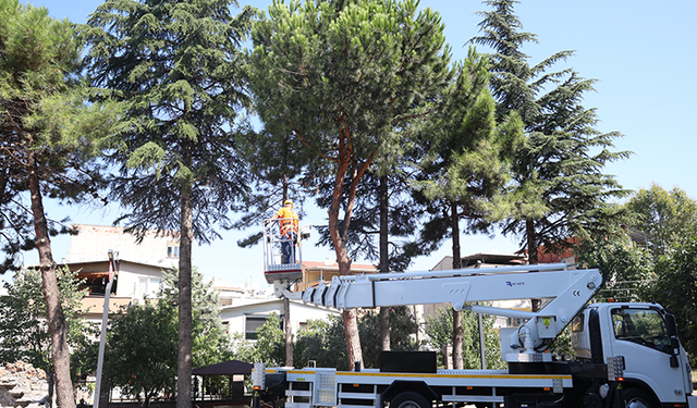 Osmangazi’de yeşil alanlar titizlikle korunuyor