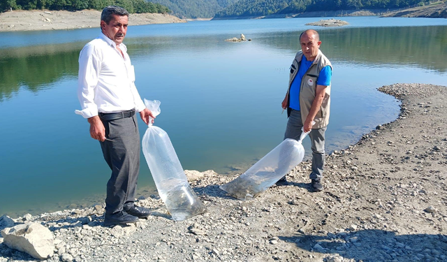 Orhaneli’de göletler sazan yavrularıyla buluştu