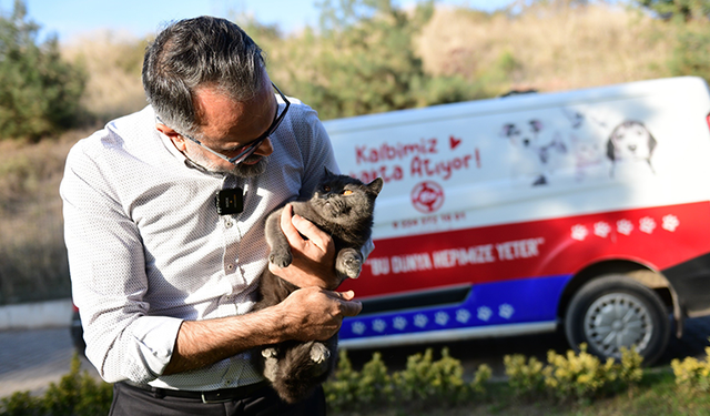 Bir tıkla yuva: Kestel Belediyesi ile sahiplenme artık daha kolay
