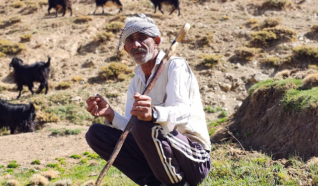 Bursa'dan köyüne döndü, hayvancılıkla geçimini sağlıyor