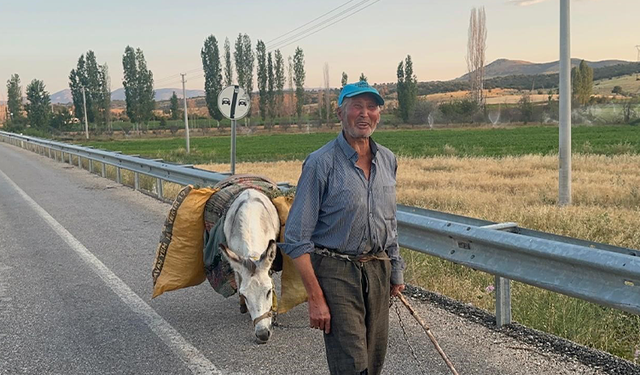 İki dönüm fasulyenin arkasındaki güç: 74 yaşındaki çiftçi ve bir eşek