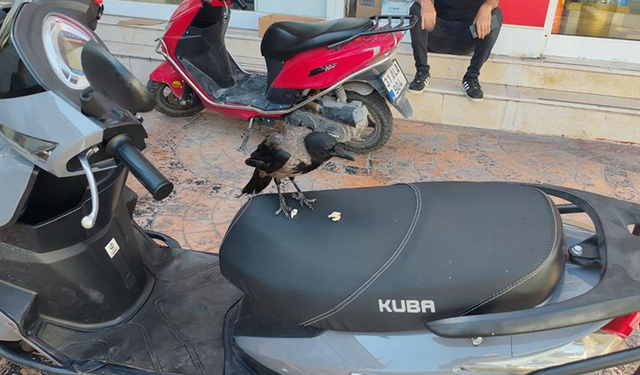 Motosikletin üzerindeki parayı kaptı, “Paramı ver” sözlerini umursamadı
