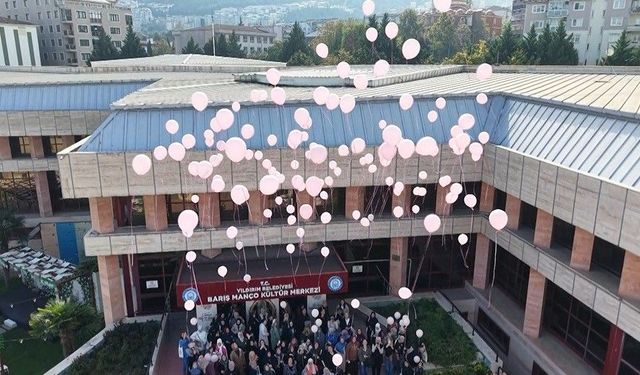 Bursa'da meme kanserine karşı gökyüzü pembeye boyandı