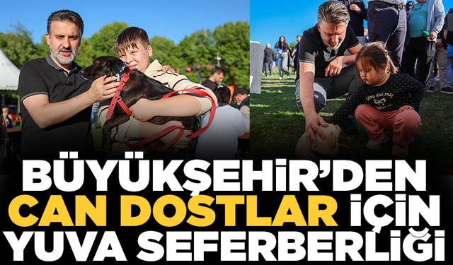 Büyükşehir'den can dostları için yuva seferberliği
