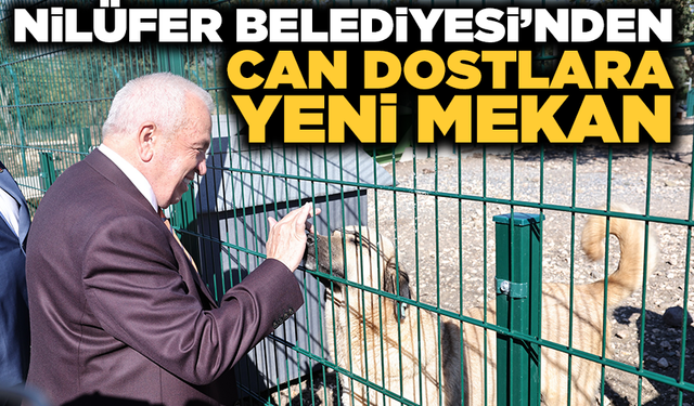 Nilüfer’de sahipsiz hayvanlar için “Umut Ağacı” açıldı