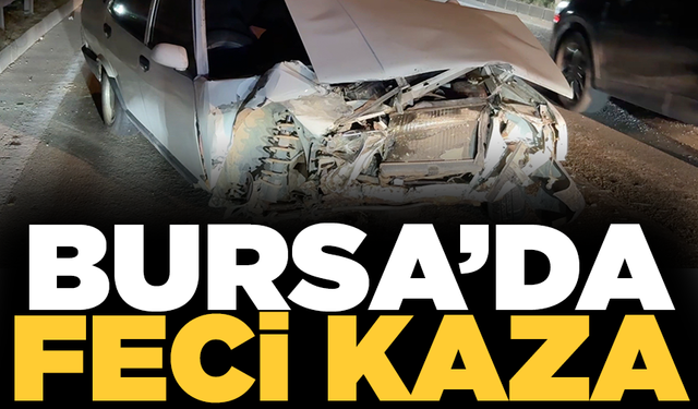 Bursa'da bariyerlere çarpan araçta 2 kişi yaralandı