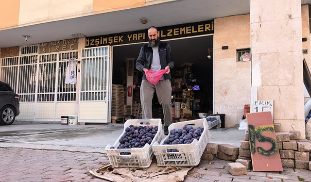 Bursalı çiftçi erikleri dalında bırakmadı, çöpe atmadı fenomen oldu