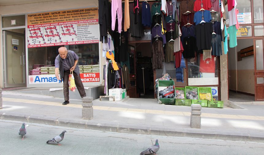 Amasya’da Hüseyin Keskiner ilk parasıyla kuşlara yem alıyor