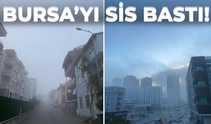 Bursa'yı sis bastı!