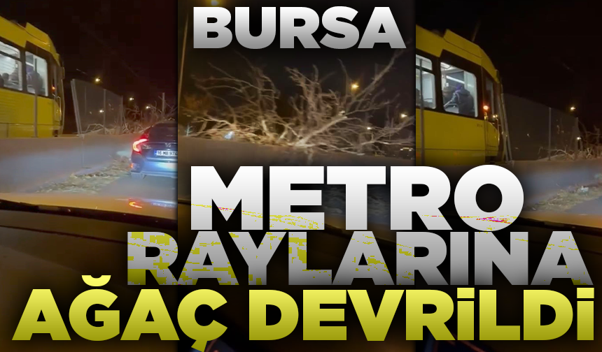 Bursa’da metro raylarına ağaç devrildi