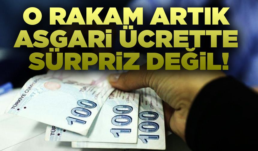 O rakam artık asgari ücrette sürpriz değil